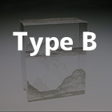 Type B